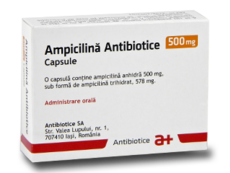 Ampicillina N10