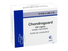 Chondroguard N10
