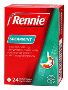 Rennie Spearmint N24