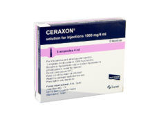 Ceraxon N5
