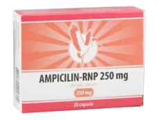 Ампициллин-RNP N20