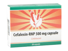Cefalexin N20