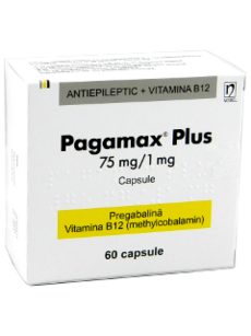 Pagamax Plus N60