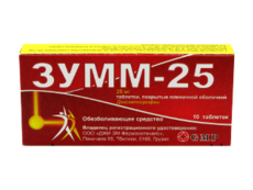 Зумм-25 N10