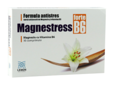 Magnestress forte B6 Leben N30