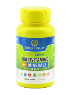 Multivitamine + Minerale ADULT N60