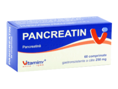 Pancreatin N60