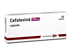 Cefalexina Atb N20