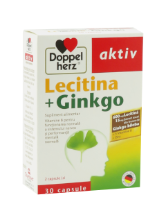 Доппельхерц Лецитин + Гинкго N30